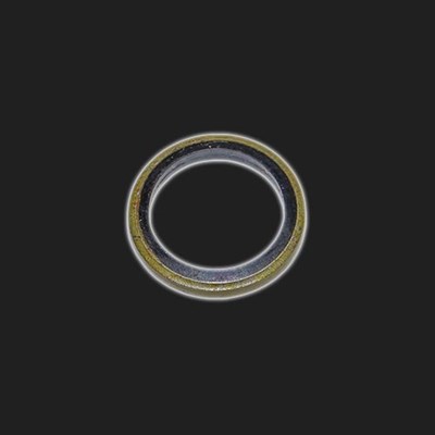 Кольцо уплотнительное сливной пробки масляного картера LADA Largus (RENAULT) - фото 40204